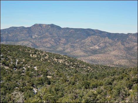 Logan Canyon Road