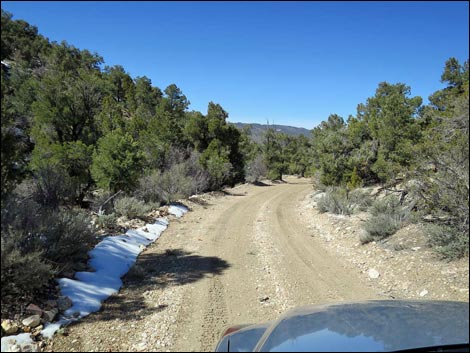 Logan Canyon Road