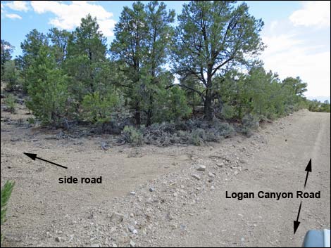 Logan Canyon Road