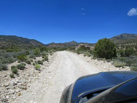 Logan Canyon Road