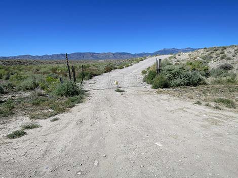 Logan Canyon Road