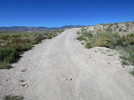 Logan Canyon Road