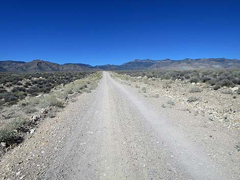 Logan Canyon Road