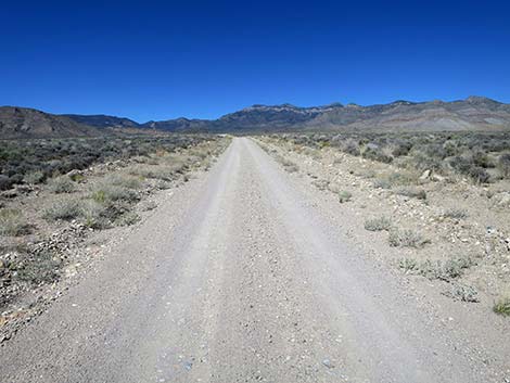 Logan Canyon Road