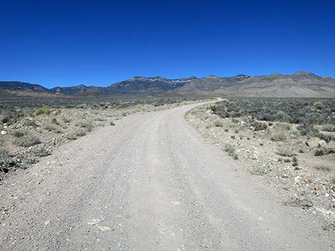 Logan Canyon Road