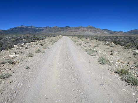 Logan Canyon Road