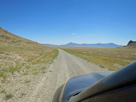 Timber Pass Road