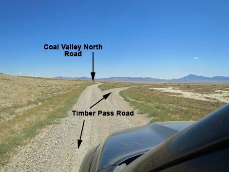 Timber Pass Road