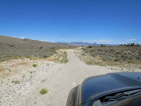 Timber Pass Road