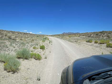 Timber Pass Road