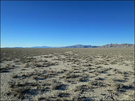 Timber Mountain Pass Road