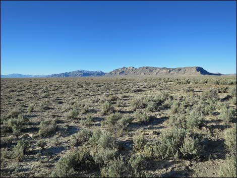 Timber Mountain Pass Road