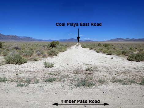 Timber Pass Road