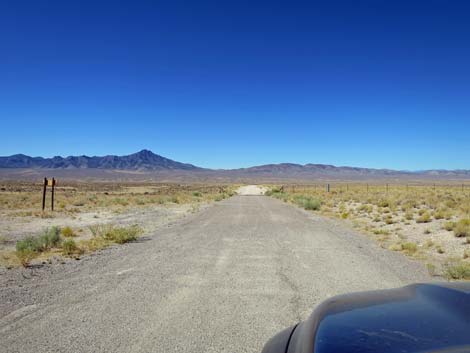 Timber Pass Road