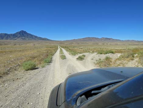 Timber Pass Road