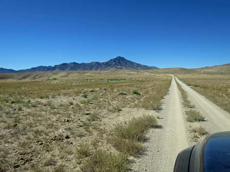 Timber Pass Road