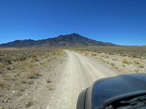 Timber Pass Road