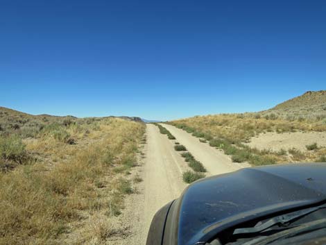 Timber Pass Road