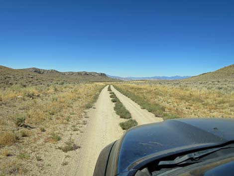 Timber Pass Road