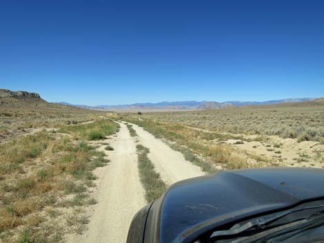 Timber Pass Road