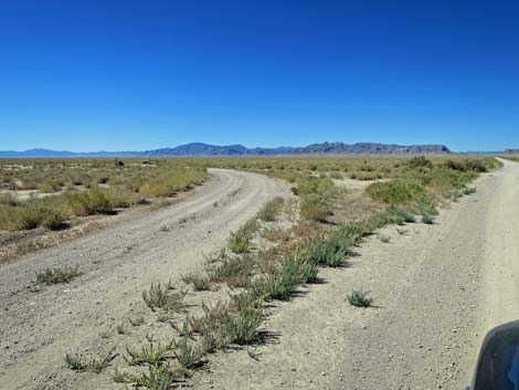 Timber Pass Road