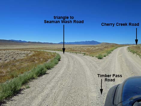 Timber Pass Road