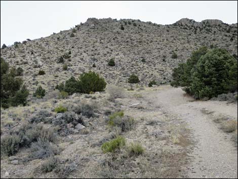 Whipple Cave Access Road