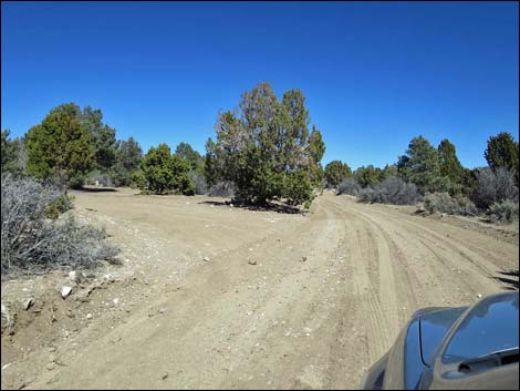 Wild Horse Valley Road