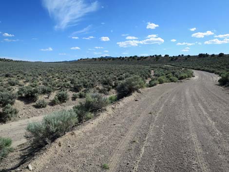 Wild Horse Valley Road