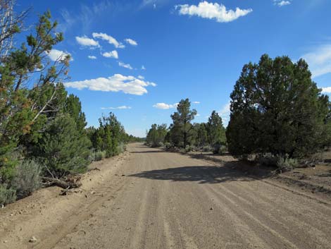 Wild Horse Valley Road