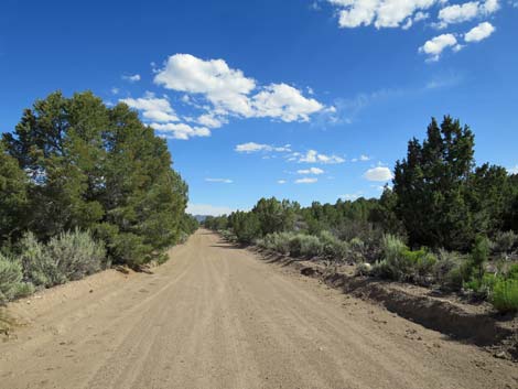 Wild Horse Valley Road