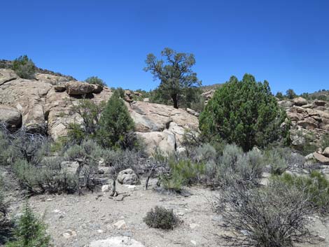 Shooting Gallery Rock Art Site