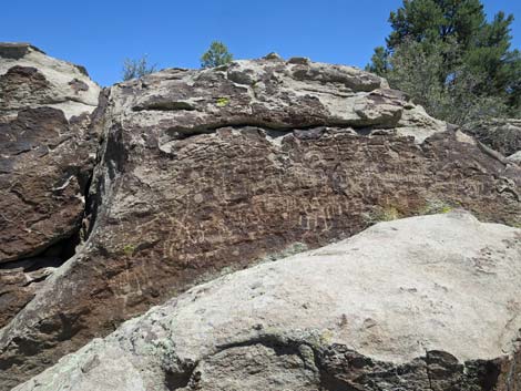 Shooting Gallery Rock Art Site