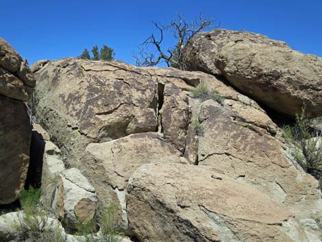 Shooting Gallery Rock Art Site