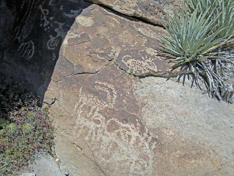 Shooting Gallery Rock Art Site