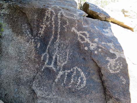 Shooting Gallery Rock Art Site