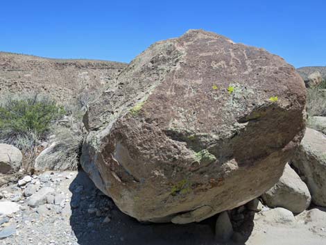 Shooting Gallery Rock Art Site