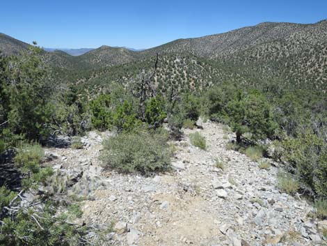 Tikaboo Peak