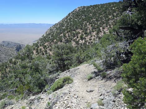 Tikaboo Peak