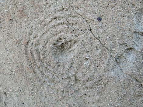 Amphitheater Site