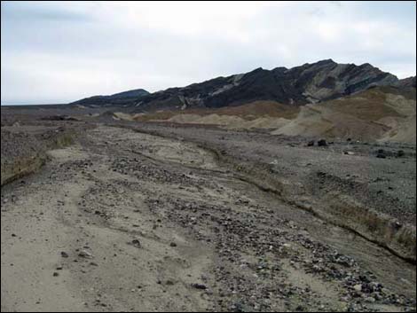 Corkscrew Canyon