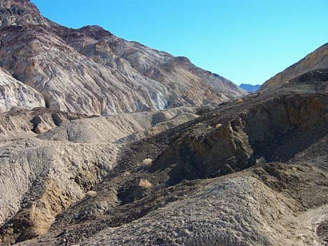 Desolation Canyon