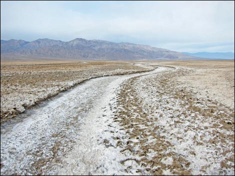 Harmony Salt Flats