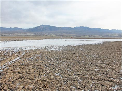 Harmony Salt Flats