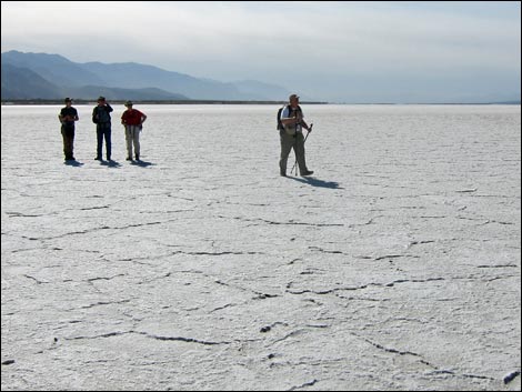 Harmony Salt Flats