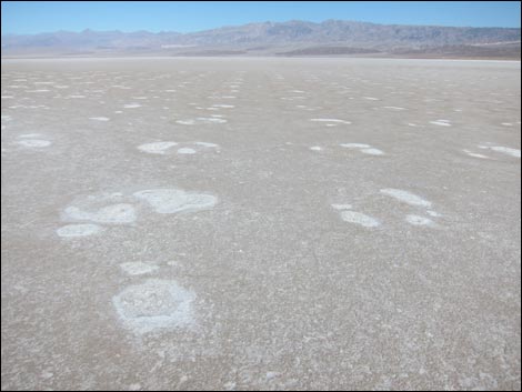 Harmony Salt Flats