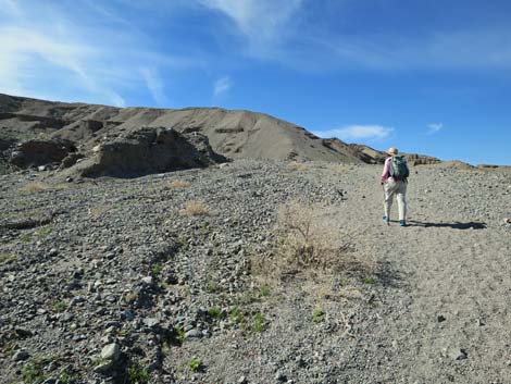 Sidewinder Canyon