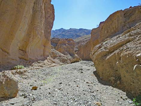 Sidewinder Canyon