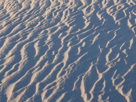 Mesquite Flat Sand Dunes