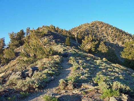 telescope peak